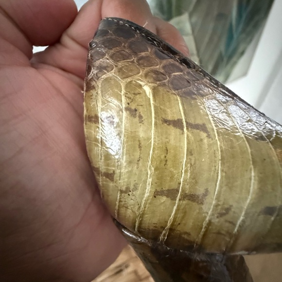 BCBGirls Green Heels Elegant Design - Picture 5 of 7